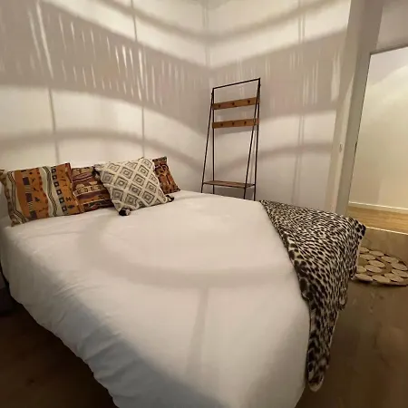 A Terraza De Lilo Santiago Historic 아파트 산티아고데콤포스텔라